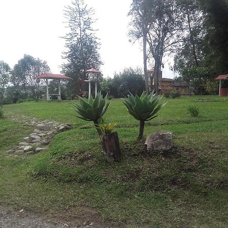 La Gaviota Bnb Bed & Breakfast Filandia Luaran gambar